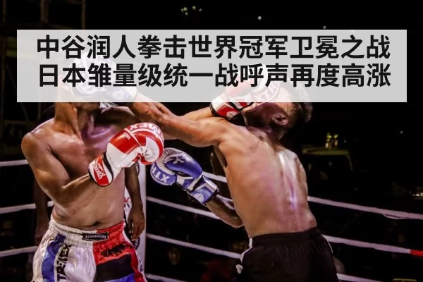 boxer training gloves