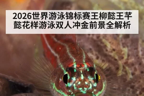 2026世界游泳锦标赛王柳懿王芊懿花样游泳双人冲金前景全解析